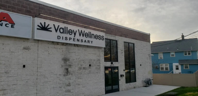 225b91d8 754d 4ae6 bc31 f5b276009880 Valley Wellness 768x373