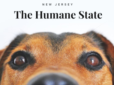Humane State