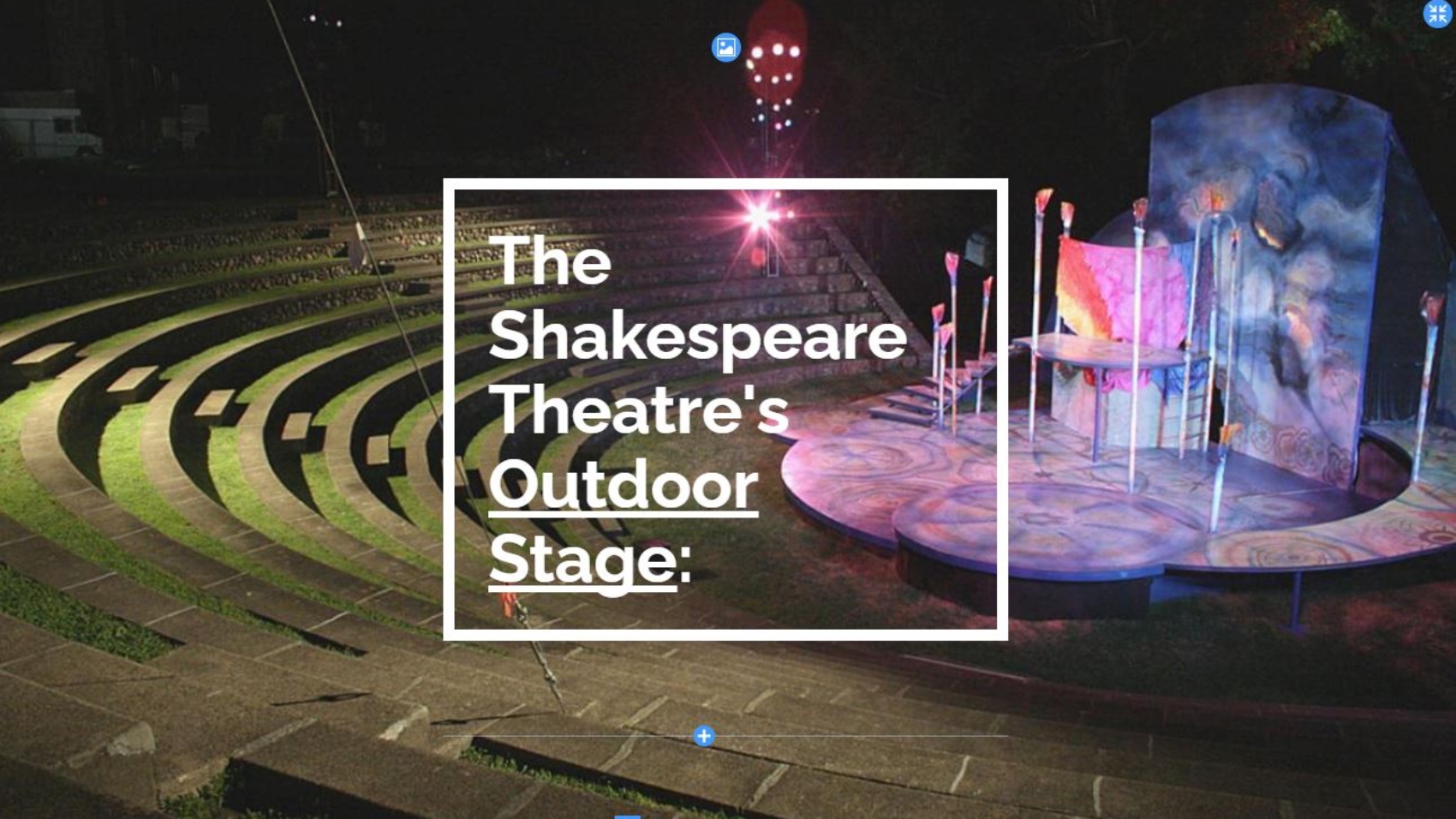 The Shakespeares