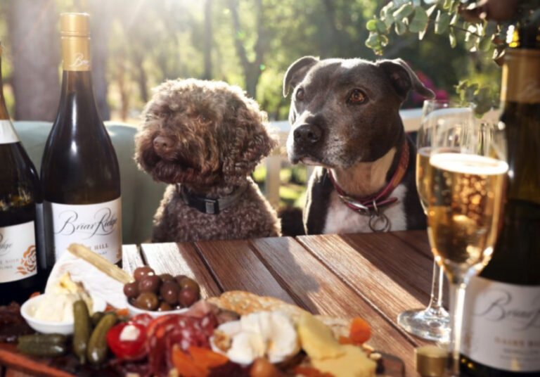 Cheers to the Animals at New Jersey’s Animal-Friendly Breweries and Wineries