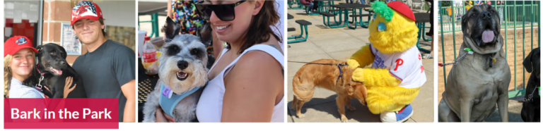 Jersey BlueClaws Bark in the Park, A Tail-Wagging Event for You and Your Furry Friend!