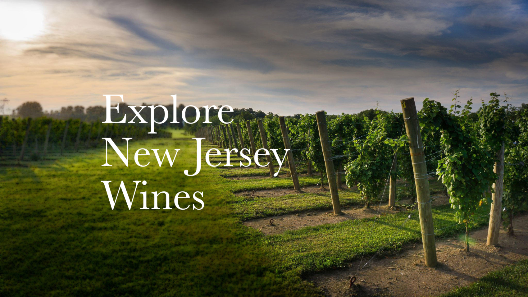 new-jersey-wine