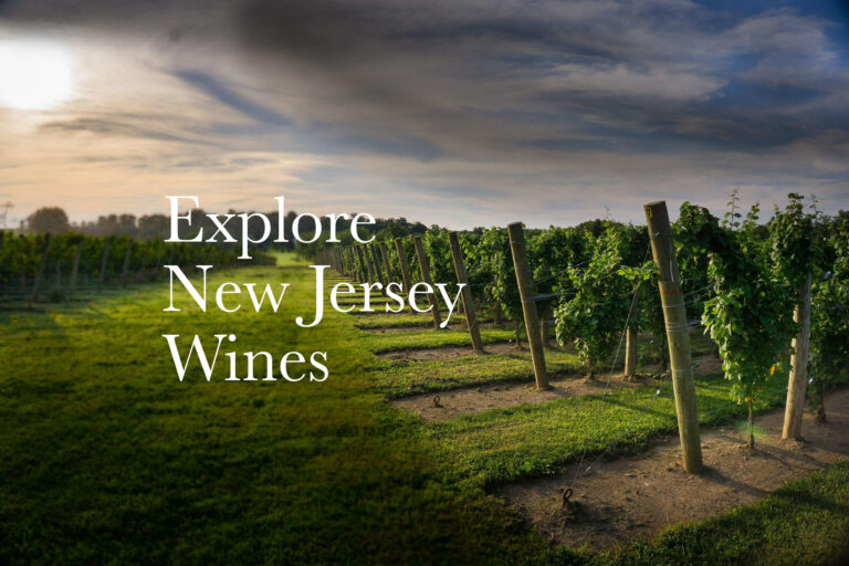 Cheers to a Stellar Harvest This year in New Jersey as Wineries Poised for Success