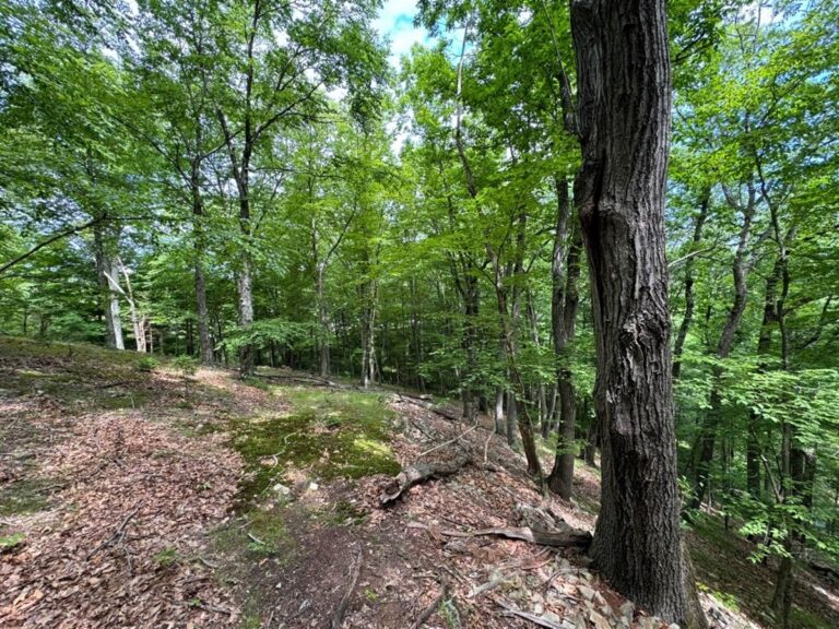 Morris County Commissioners Approve Three Open Space Grants – Morris County, NJ