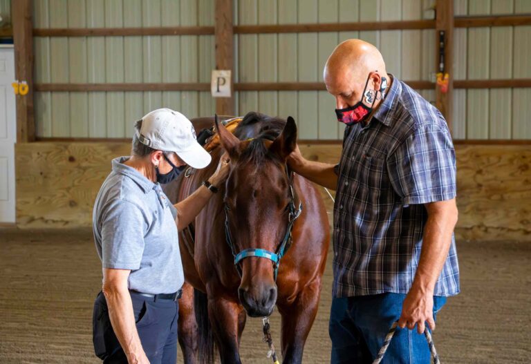 Horse-Caring Helps Veterans With PTSD : Newsroom