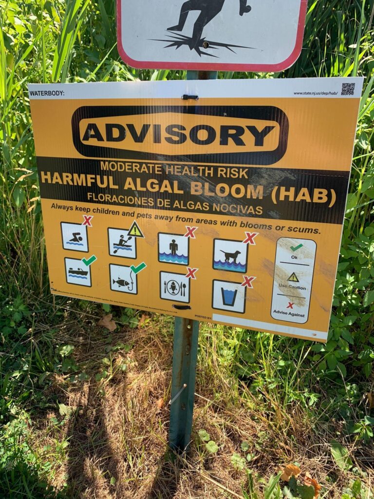 Harmful Algal Blooms impacting recreation season for NJ Lakes