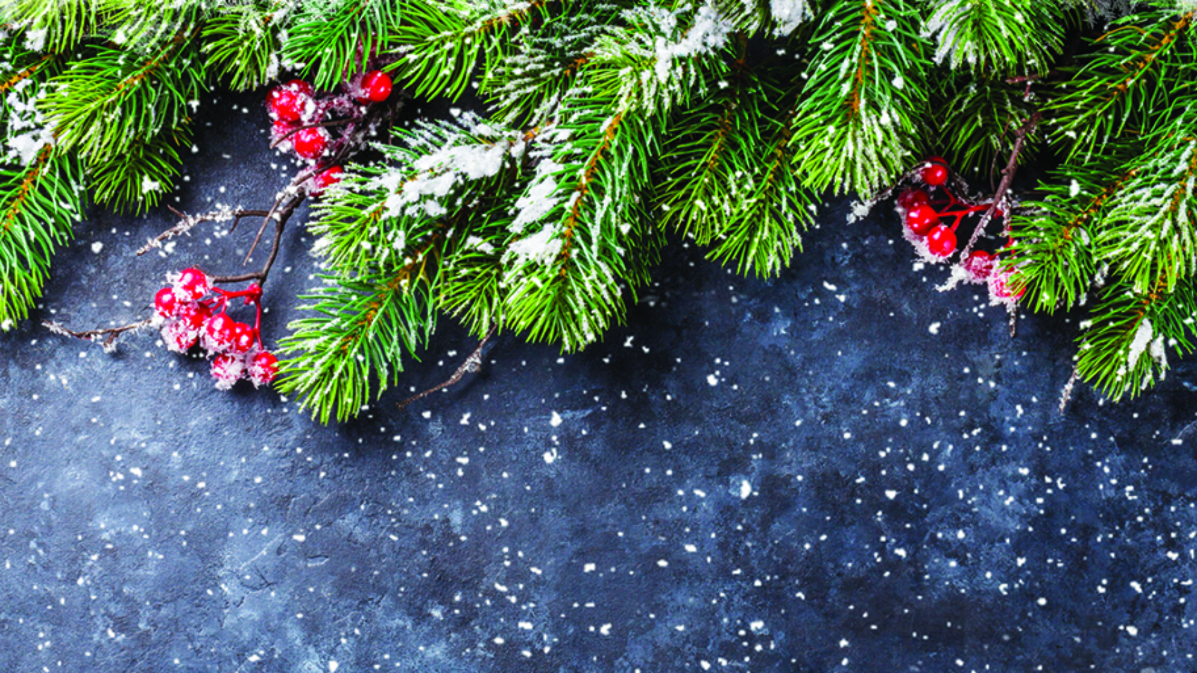 WEB-Holiday-Art.jpg