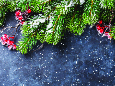 WEB-Holiday-Art.jpg