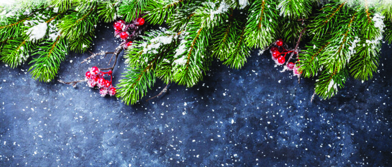 PTO to host Winter Wonderland market alongside weekend Christmas tree sale – Star News Group