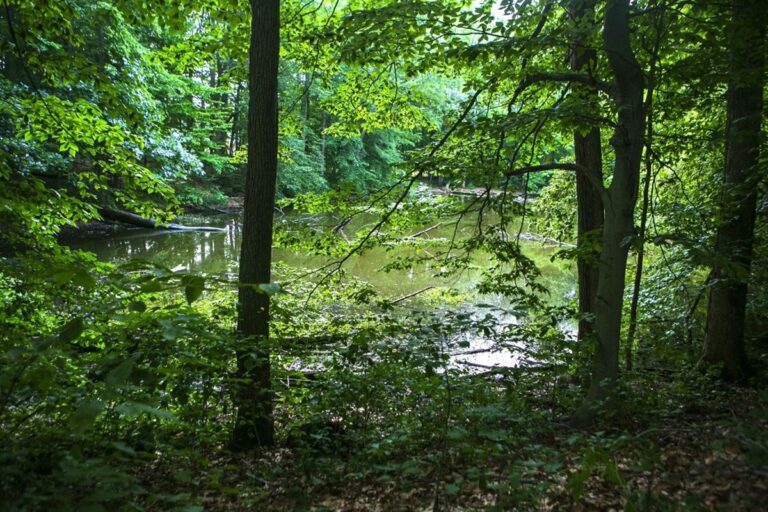 Morris County’s 2024 Open Space Recommendations – Morris County, NJ