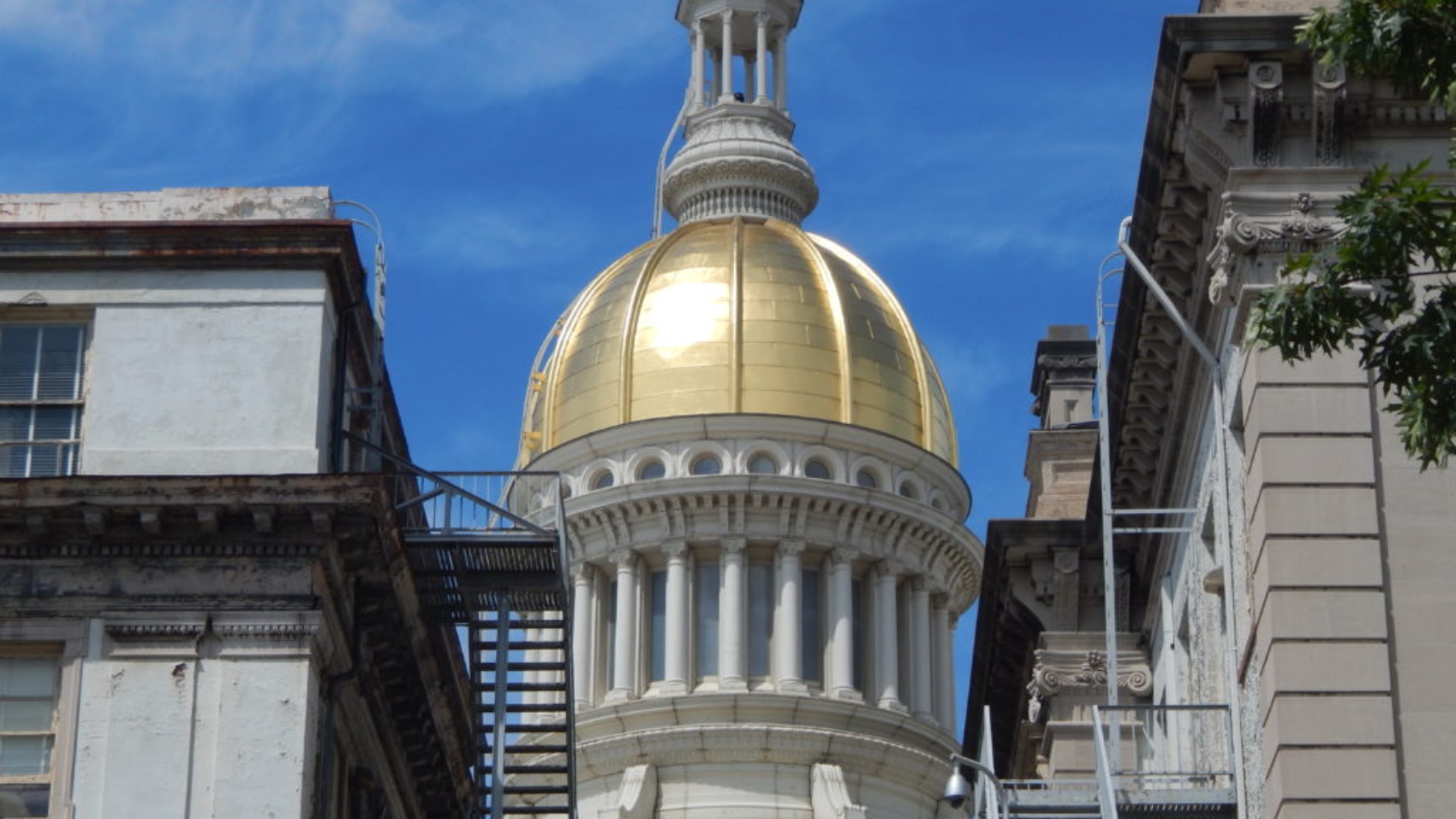 733-1024x768.jpg