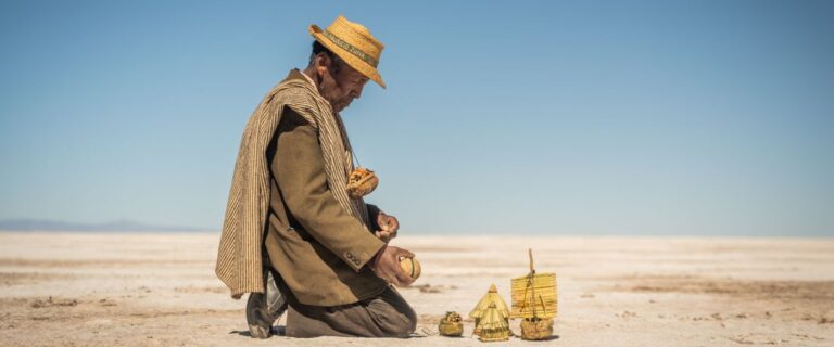 Princeton Environmental Film Festival, A Call for Submissions for 2025 Edition