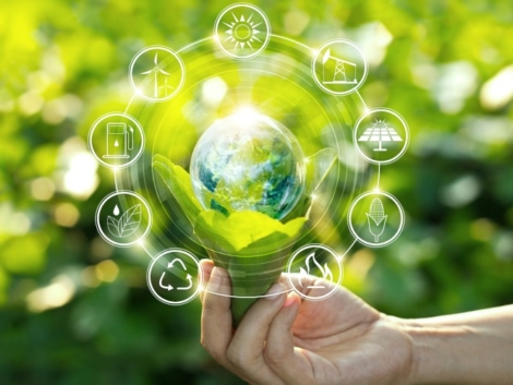 sustainability.jpeg
