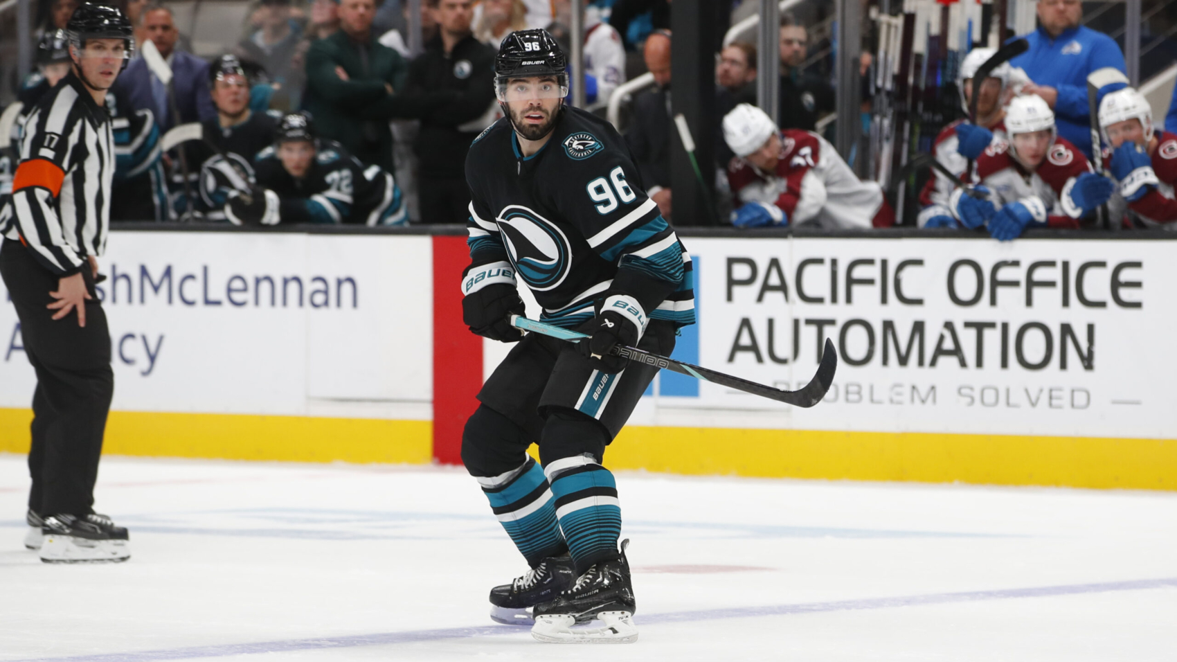 Jake-Walman-Sharks-scaled.jpg