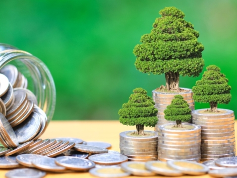 green_investment.jpeg