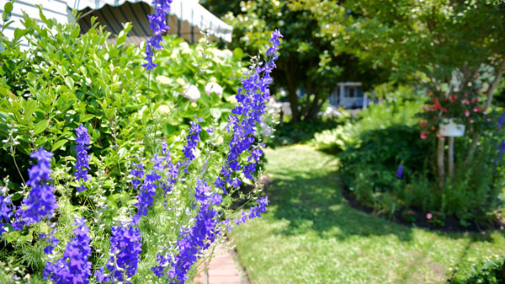 Gardens of Cape May Tour to take place on May 10