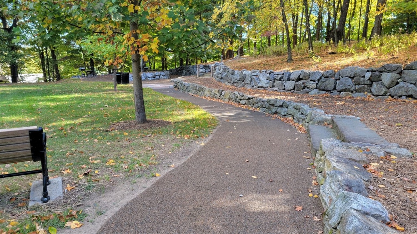 morristown-kleitman-woods-trail.jpg