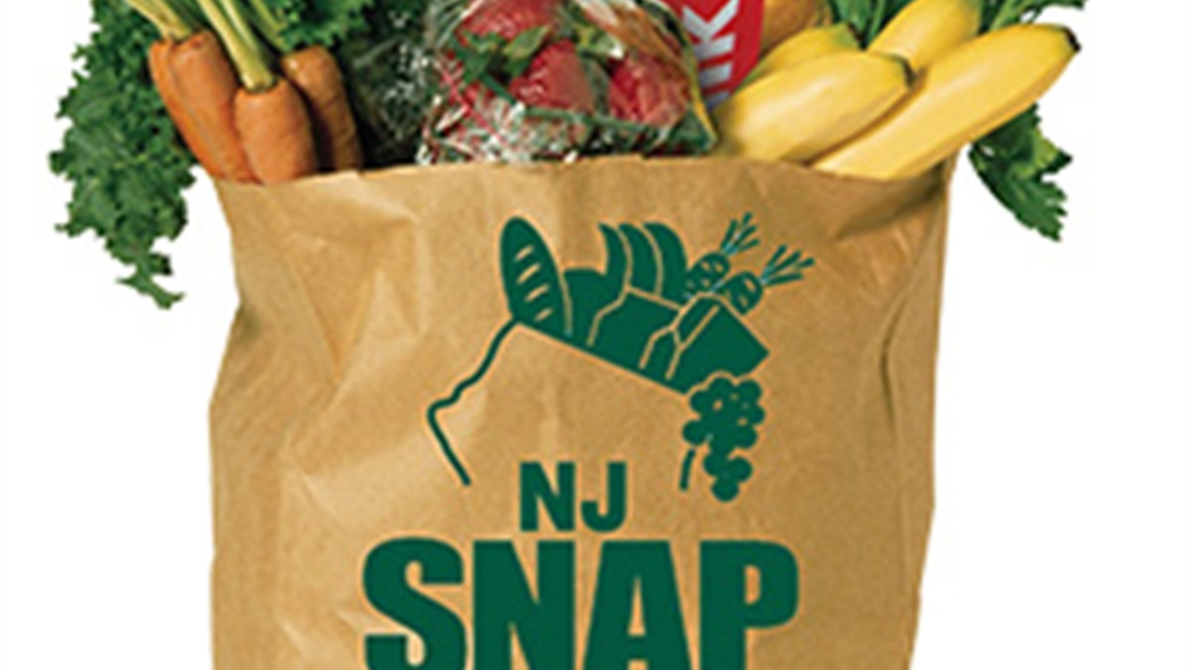 njsnap_grocery-bag.jpg