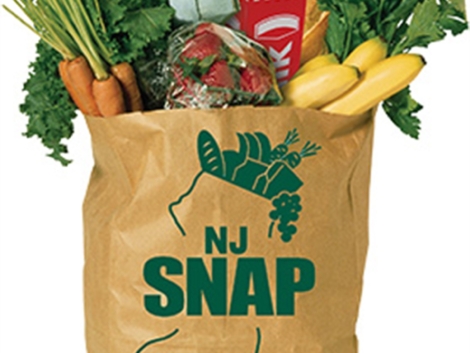 njsnap_grocery-bag.jpg