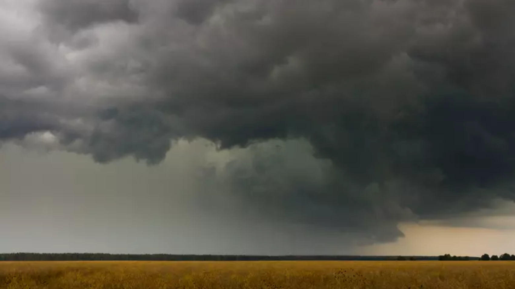 Cloudy-Day-in-Field
