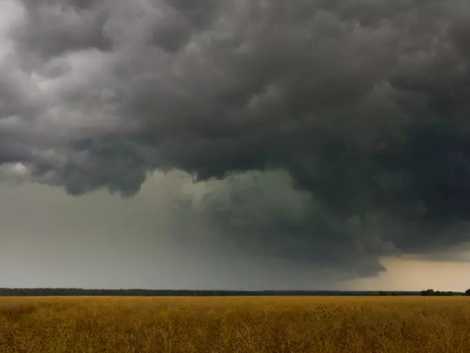 Cloudy-Day-in-Field