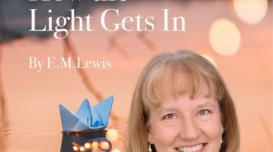 E.M. Lewis - How the Light Gets In (800 × 800 px)_1