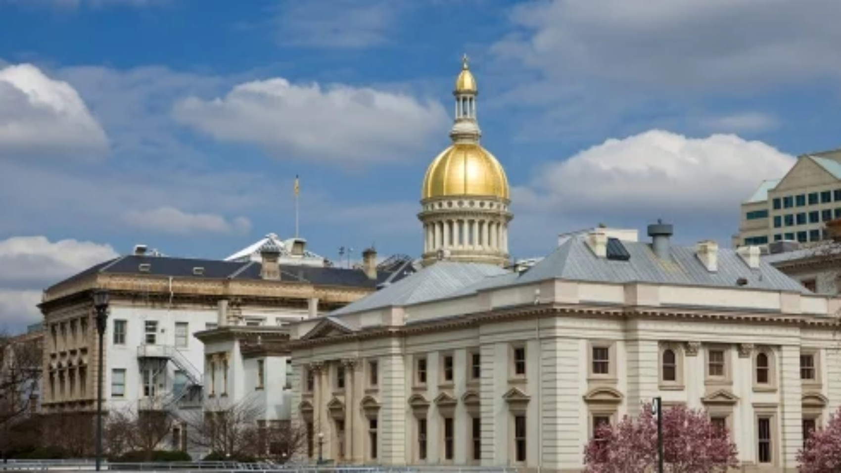 New Jersey State House Law NJ Legal-5980768