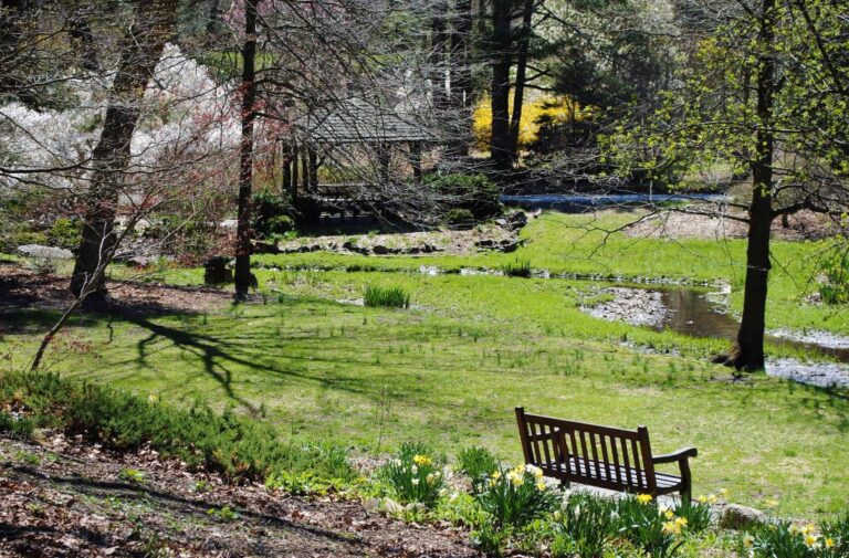 Nature and Art Collide at Laurelwood Arboretum—Now in Full Spring Splendor