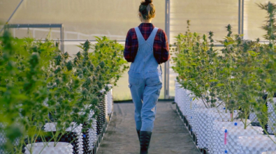 news-greenflower-partnership