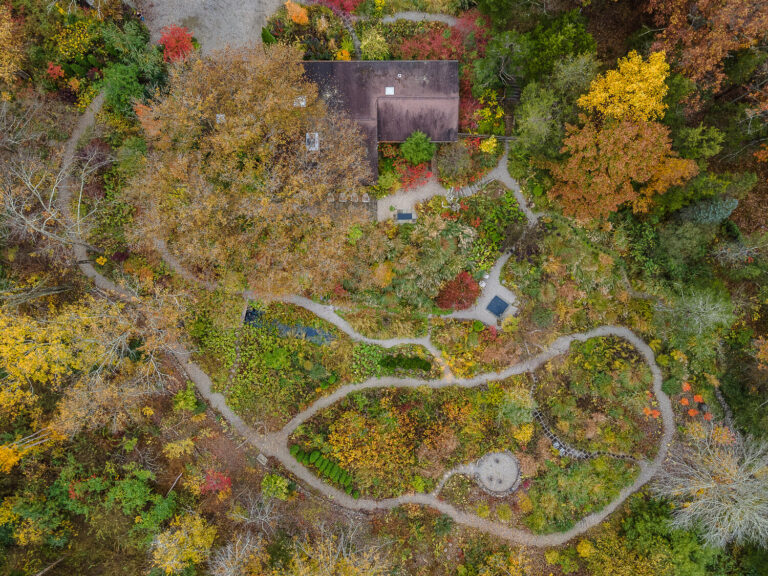 Explore New Jersey’s Hidden Garden Gems: Open Days 2025