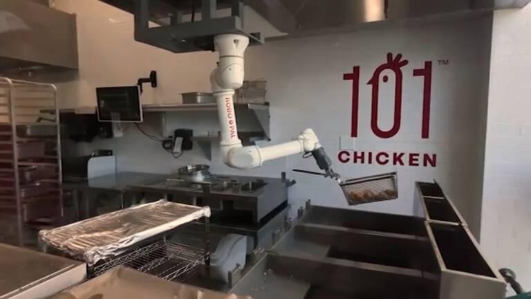 101 Chicken™