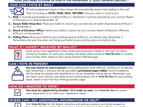 2020-Elections-informational-Flyer