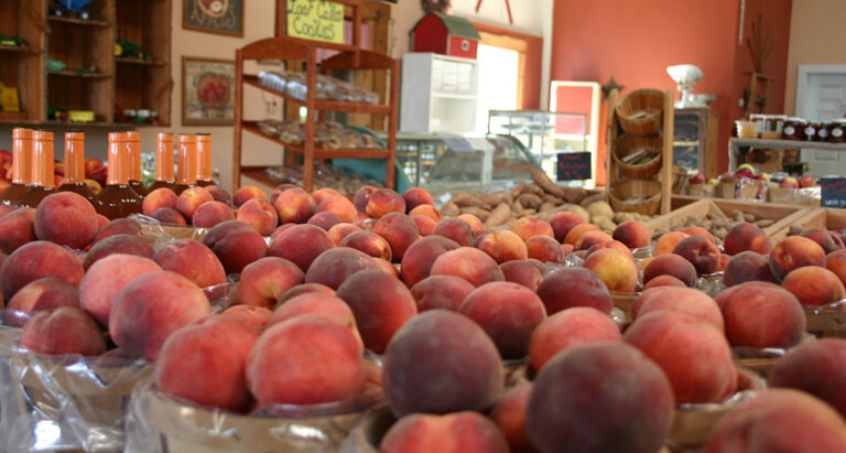 Navigating the Aisles through the Garden State’s Supermarket Scene