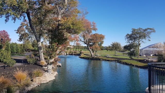 20221016_154642.jpg