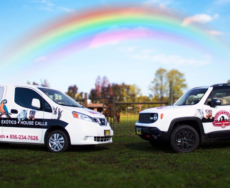 Mount Laurel Animal Hospital Expands Compassionate At-Home Pet Care