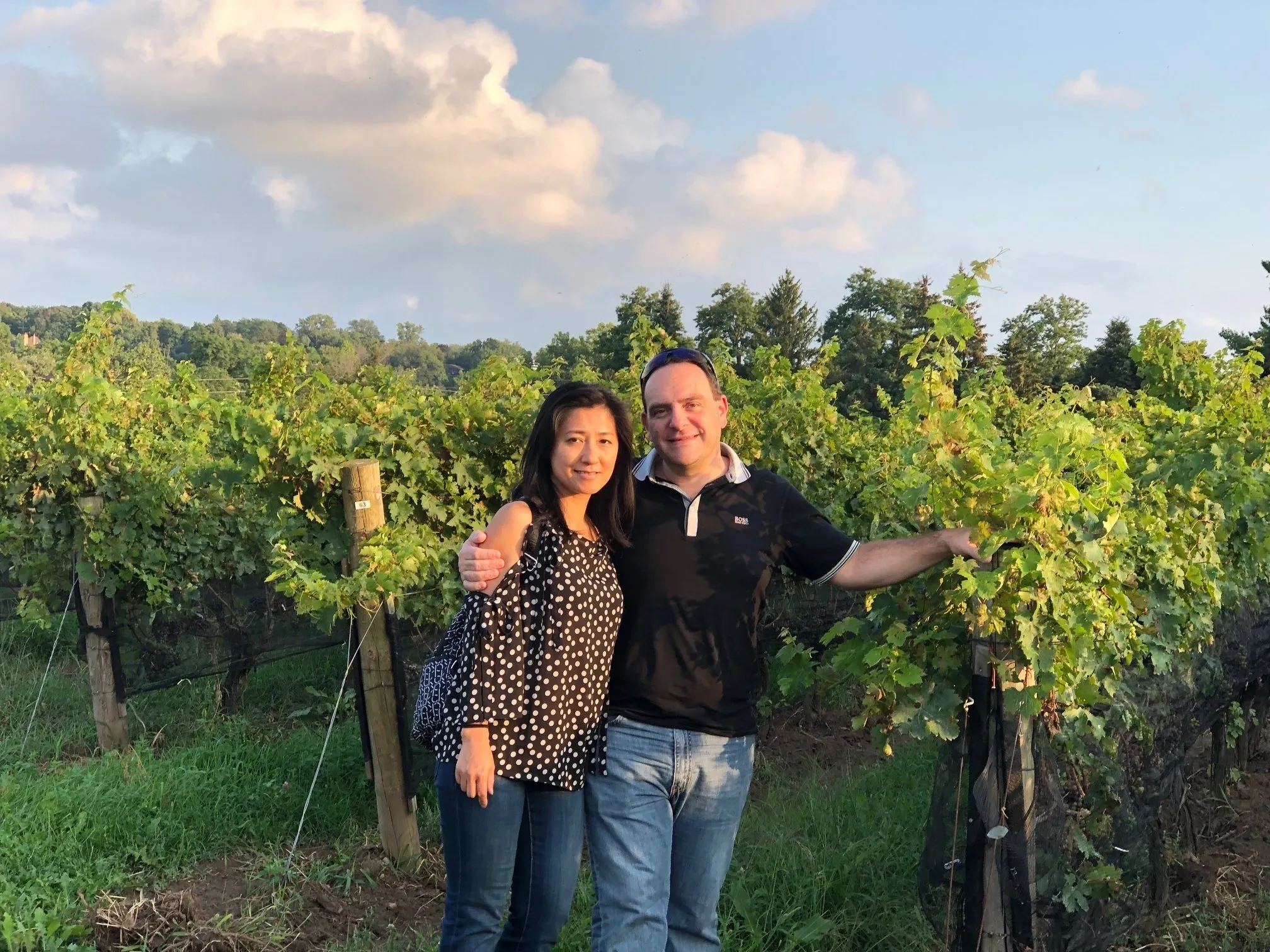 Angelico-Winery-2.webp