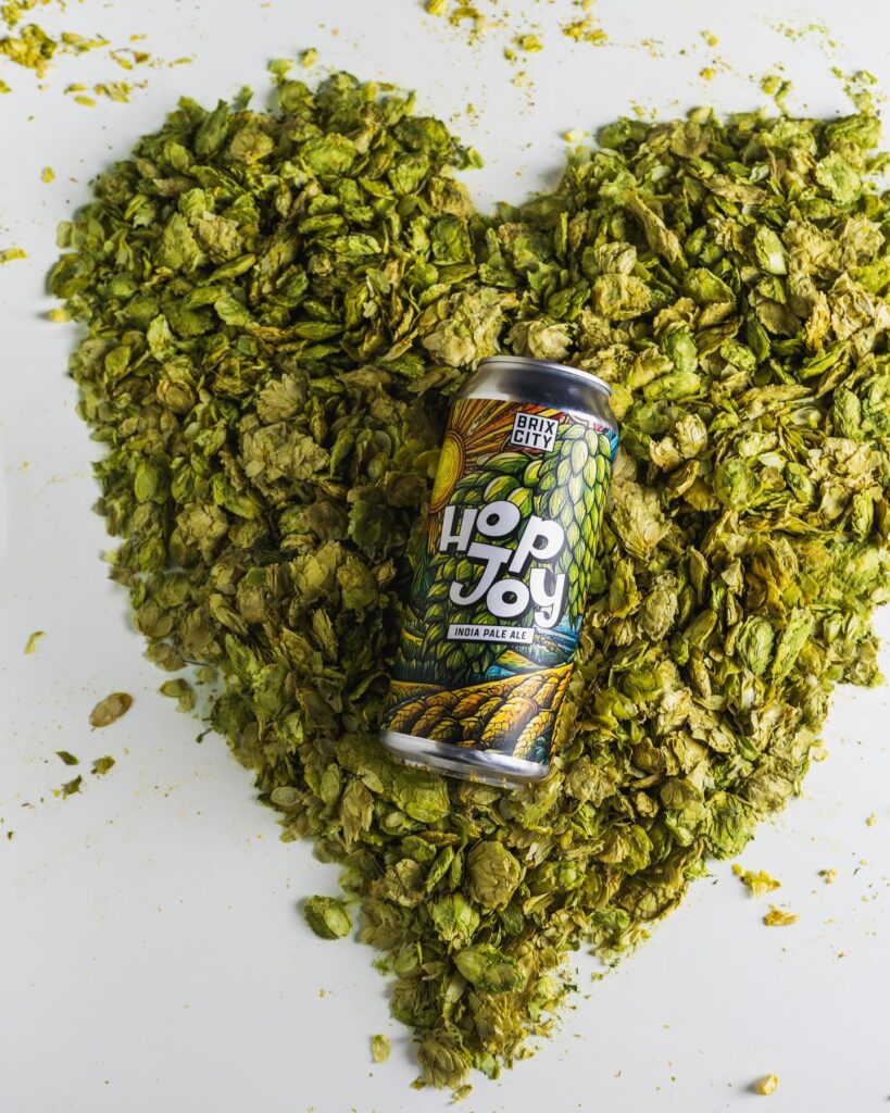 Brix-City-Brewing_3.jpg