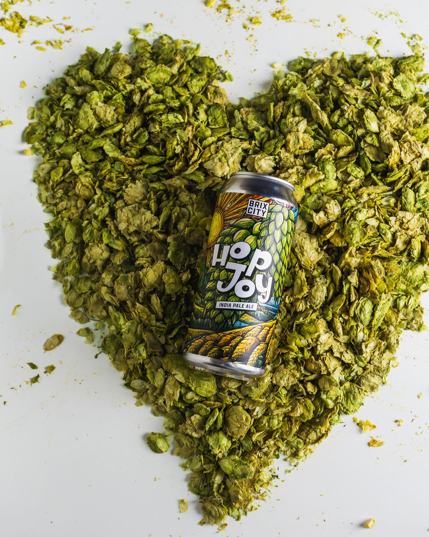 Brix-City-Brewing_3.jpg