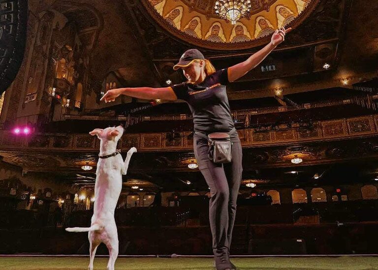 The Canine Stars Stunt Dog Show