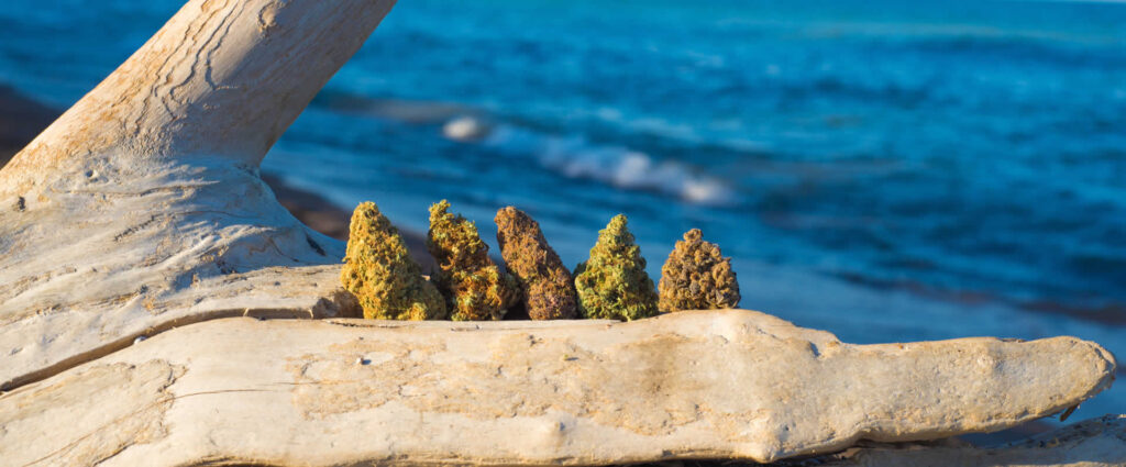 Castaway_About_Banner_Beach.jpg