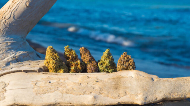 Castaway_About_Banner_Beach.jpg
