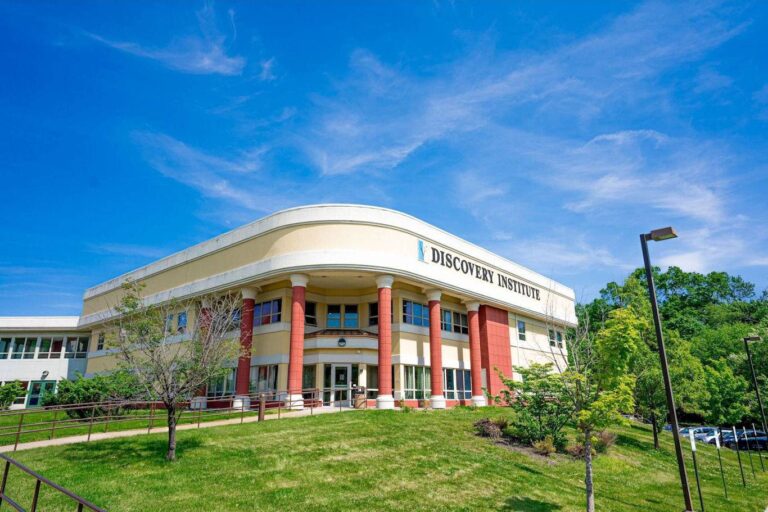 Discovering Health & Wellness Excellence in New Jersey