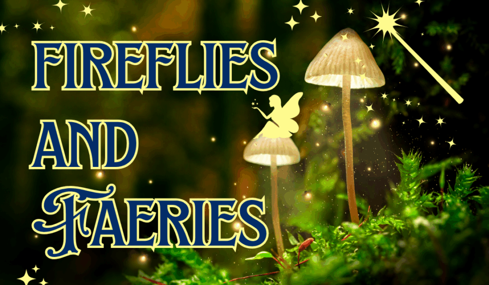 Fireflies-and-Faeries-Website