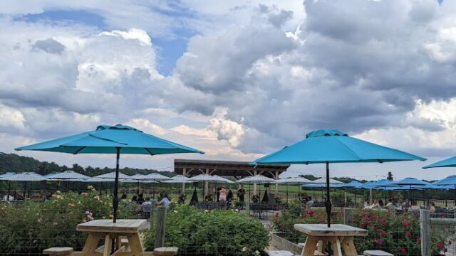 Fox-Hollow-Vineyards-2.jpg