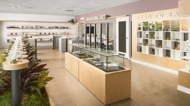 PHX-Cannabis-Stores.jpg