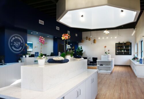 Pure-blossom-interior-500×343-1.jpeg
