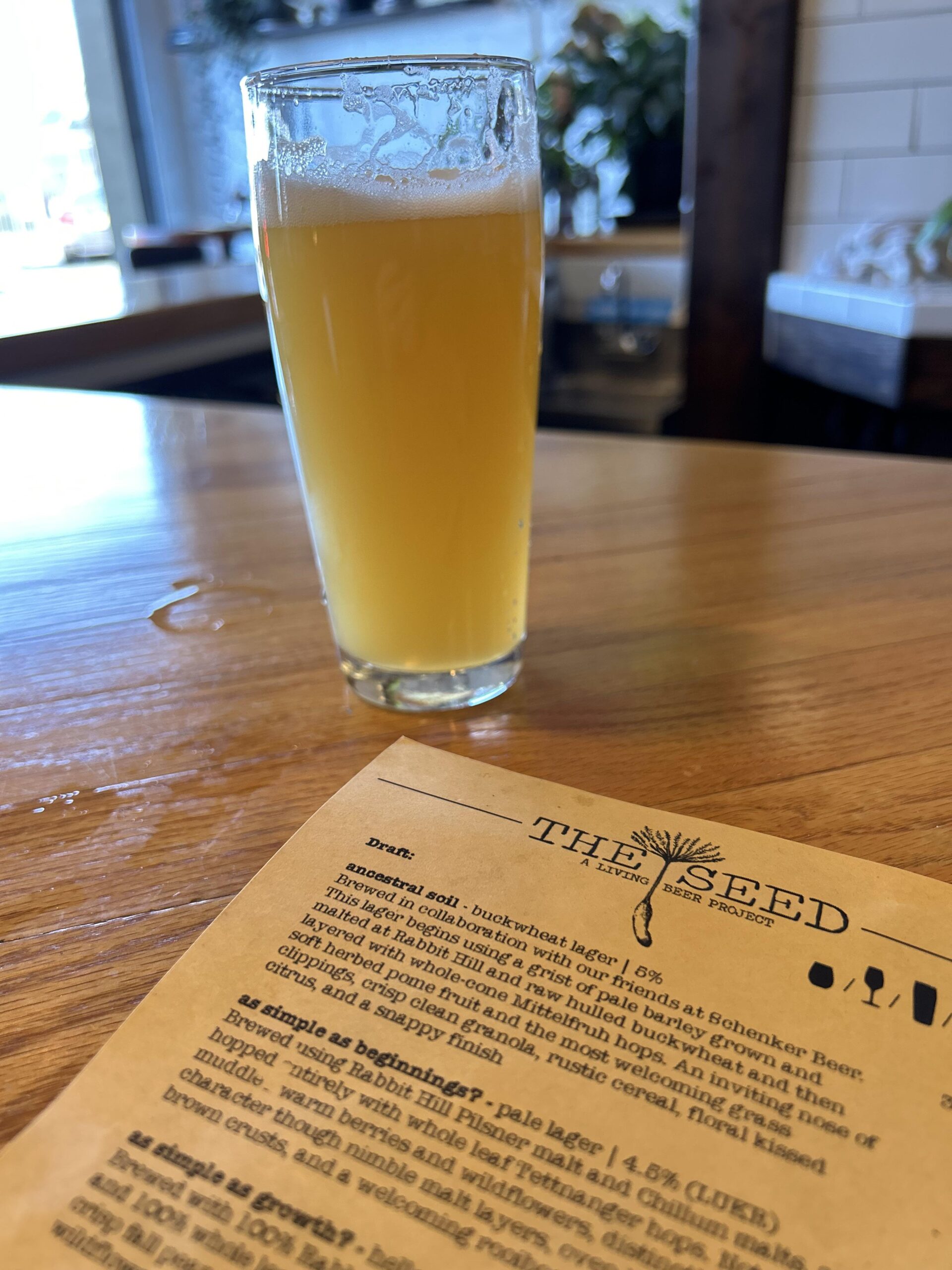 The-Seed-a-living-beer-project_2-scaled-1.jpg