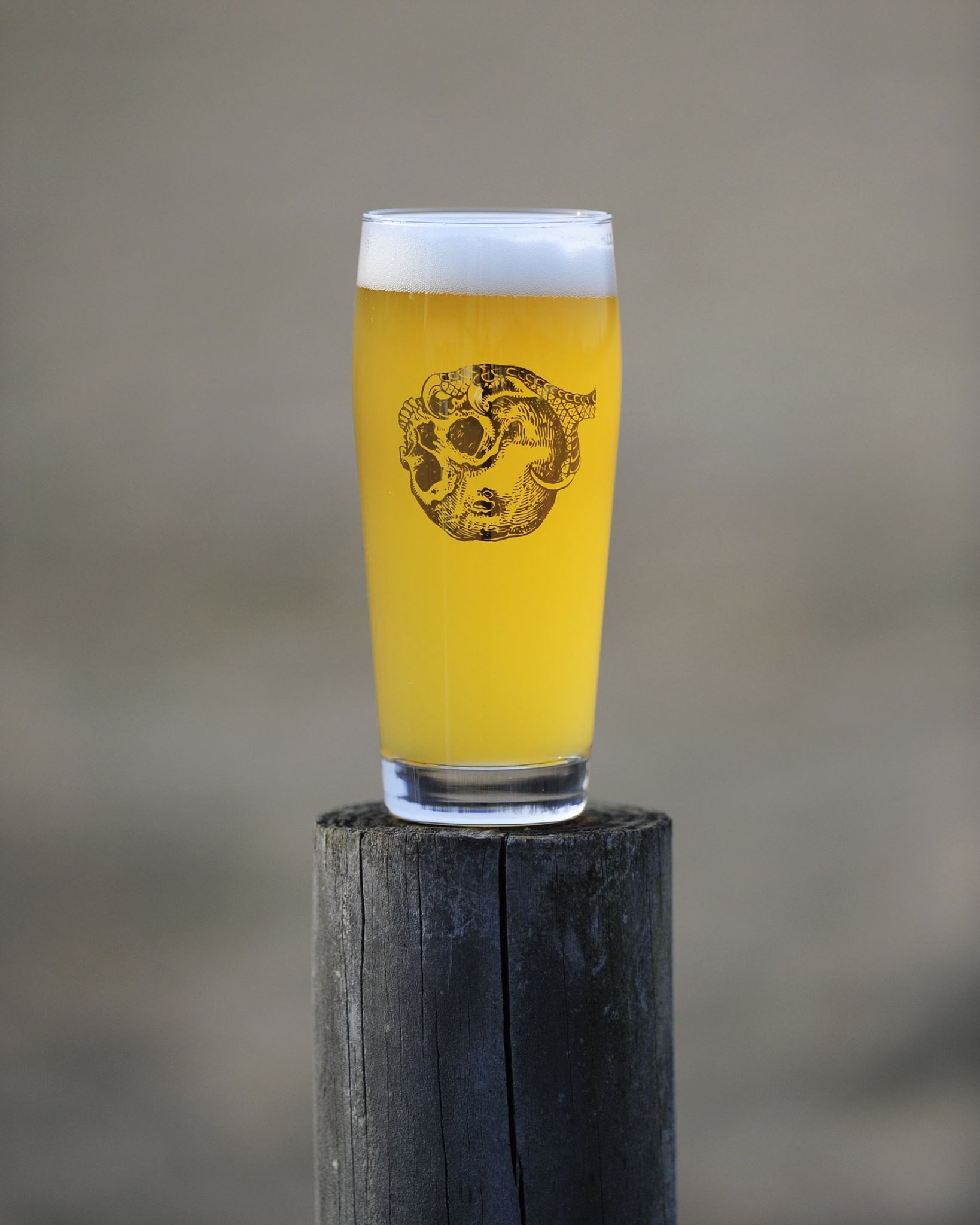 Troon-Brewing.jpg