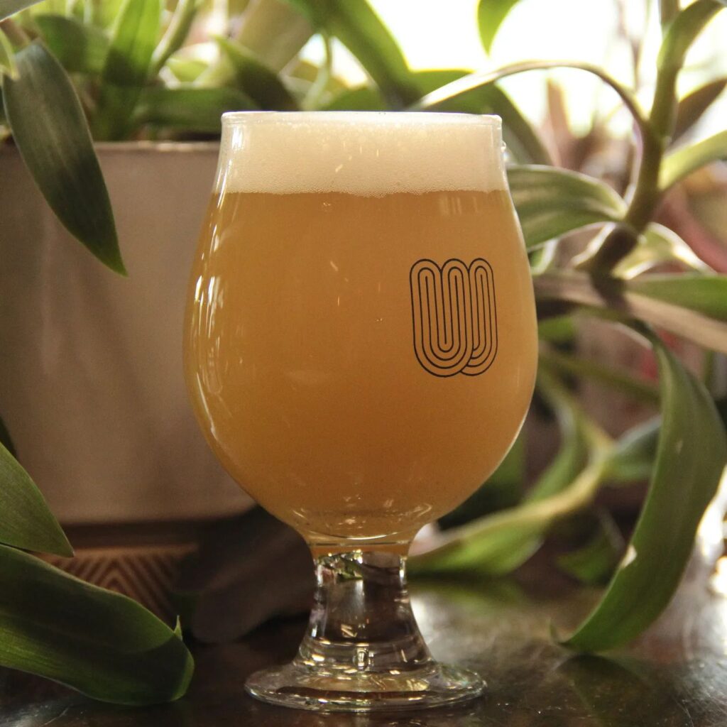 Whims-Brewing_3.jpg
