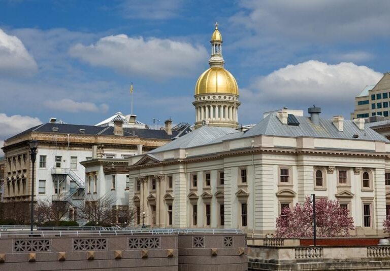 The Pulse of the Garden State: Key Political Insights in New Jersey